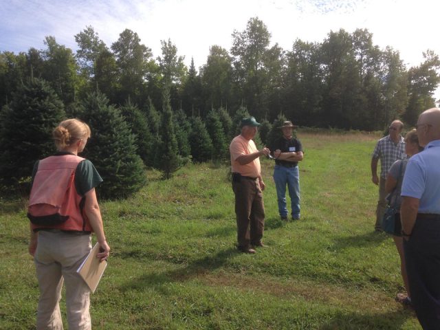 Membership Meetings Maine Christmas Tree Association Maine Christmas Tree Association