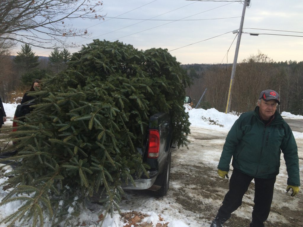 Moose Hill Farm Maine Christmas Tree Association