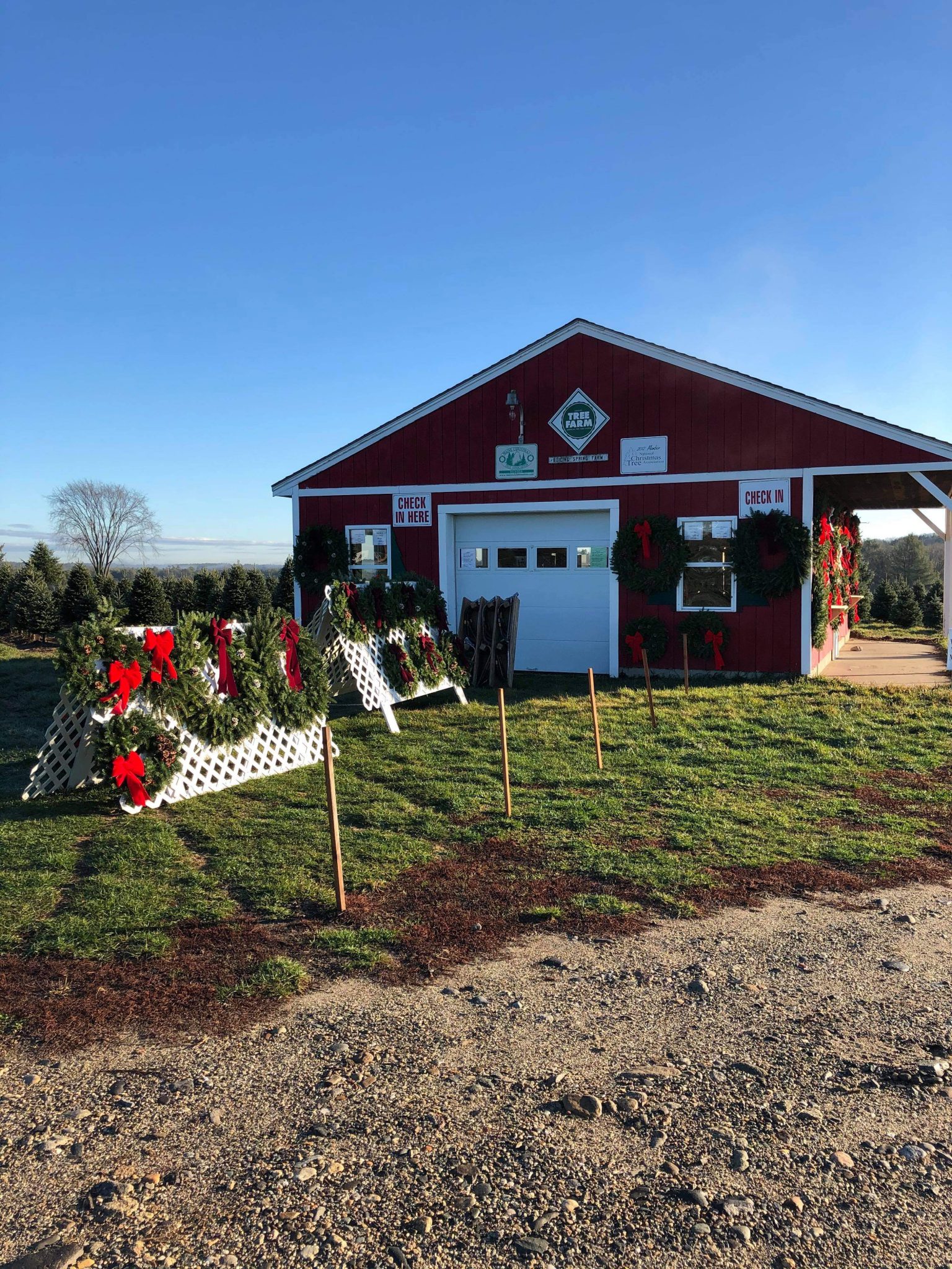 Boiling Spring Tree Farm Llc Maine Christmas Tree Association