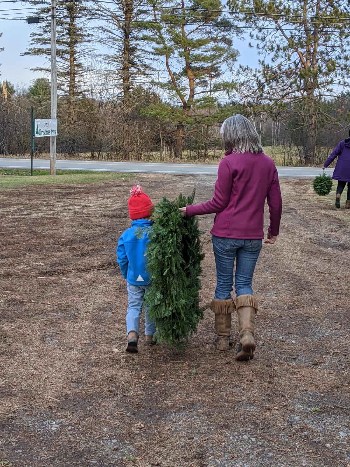 Carpenter's Tree Farm Maine Christmas Tree Association