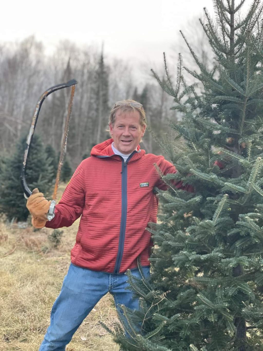 Wood Family Christmas Trees Maine Christmas Tree Association