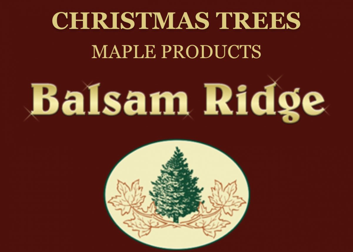 Balsam Ridge Maine Christmas Tree Association